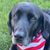 Mack Kapp's profile image