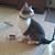 Nancy Rebecca Olson's profile image