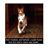 Derek L. Collins's profile image