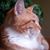 Jan Bixler's profile image