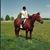 Rowan Baker-Young's profile image