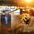 Jen Hardyman's profile image