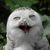 Jim G.'s profile image
