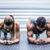 Rapid Fit's profile image