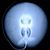 Megan Muller's profile image