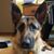 Spen Row's profile image