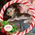Sherri Krause Sizemore's profile image