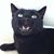 Tony Sommersdorf's profile image