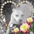 Terri Willis's profile image