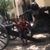 Diana Garay Terrell's profile image