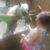 Donna Horkey's profile image