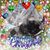 Janet Fischer Walker's profile image