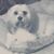 Shirley Cameron - Brasher's profile image
