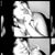Angelica Hernz's profile image