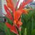 Deb Tasker's profile image