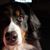 Judith Dieter's profile image