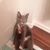 Martha Nessen's profile image