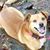 Melissa Hensley's profile image