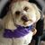 Sandra Salcido's profile image