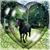 Laura Ross's profile image