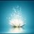 Cyndi Withrow's profile image