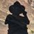 Peter Damski's profile image