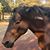 Joan Miller's profile image
