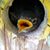 Laura Overstreet Biering's profile image