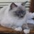 Brenda Kenfield's profile image