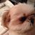 Lulu Wang's profile image