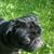Gloria Baker's profile image