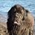 Carol Stohlgren's profile image