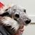 Maggie Ranson's profile image