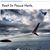 Michael Regino's profile image