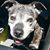 Matt Auchter's profile image
