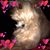 Jim Ures's profile image