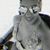Jenny Queen's profile image