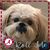Sondra Butler Blaylock's profile image