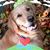 Dave McKillop's profile image