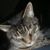 Ashley E. Barnhart's profile image