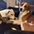 Heather Hedgepeth's profile image
