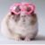Jennifer Scalora's profile image