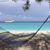 JoAnn Droge's profile image