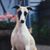 Jen MacNabb's profile image