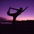 Stephanie Young's profile image