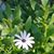 Trista Clayton's profile image