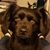 Leslie Godeau's profile image