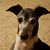 TaNikka Haggberg's profile image