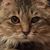 Kimberly Colagioia's profile image