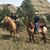 Tammy Phillips's profile image